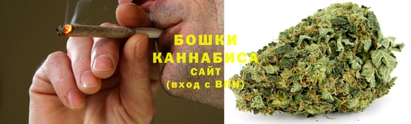 дживик Зеленокумск