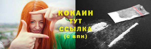 дживик Зеленокумск
