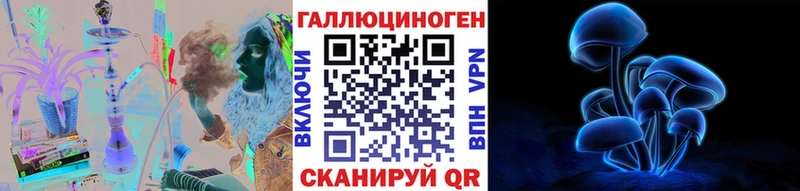 Купить где  Инза  Галлюциногенные грибы Cubensis 